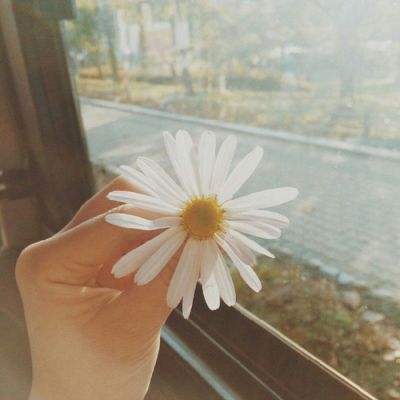 易倍app下载截图